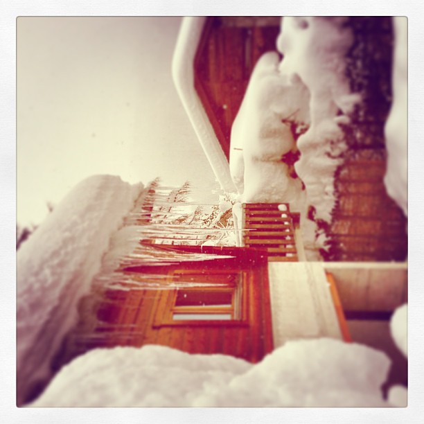 December 18, 2012 (2:45 pm)