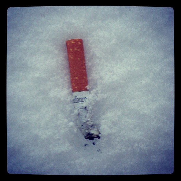 December 18, 2012 (3:46 pm)