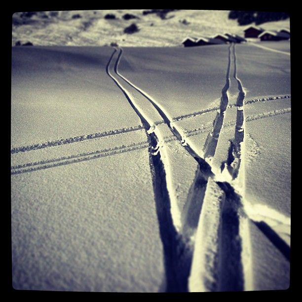 December 19, 2012 (1:55 pm)
