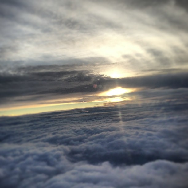 December 20, 2012 (3:30 pm)