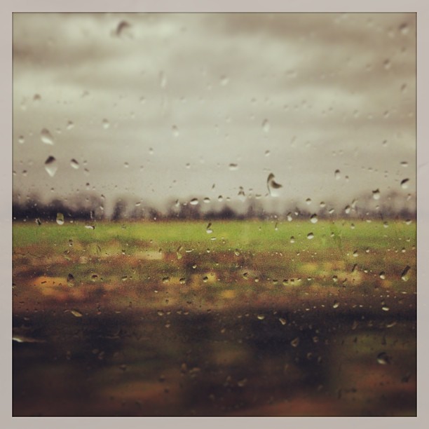 January 6, 2013 (12:31 pm)