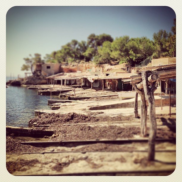 Today’s office…..