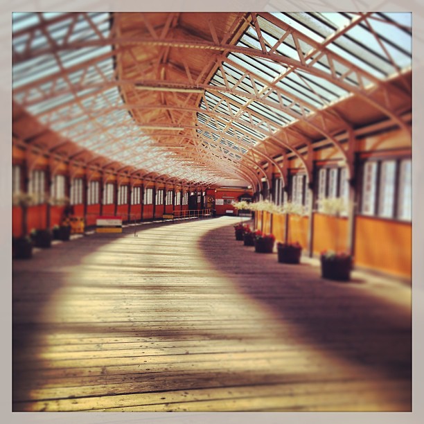 @johnnybute @felix_cooper @jazzydelisser @debbymcgregor