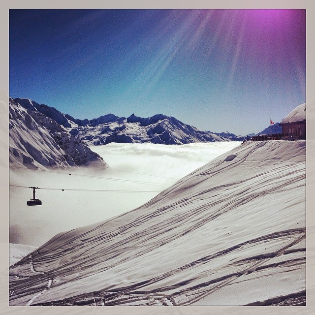 March 2, 2014 (2:54 pm)