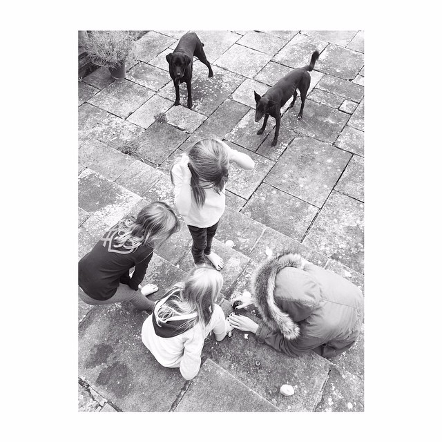 Dogs in line for rainbow nails at the pop up nail bar @laurabaileylondon ?✨ @katecdriver