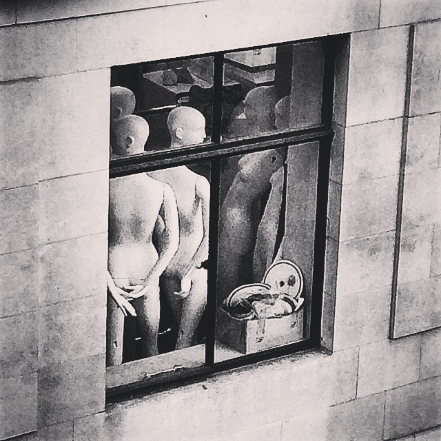 November 24, 2014 (2:27 pm)