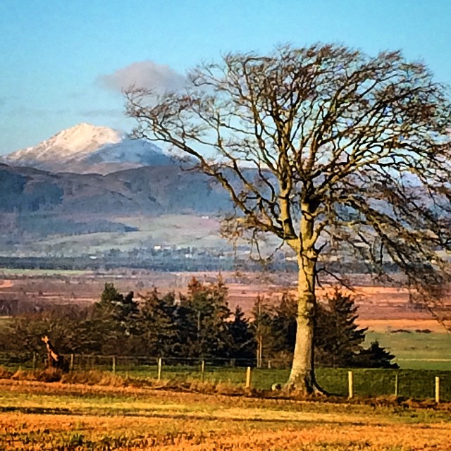 Xmas day walk in Scotland ?❤️
