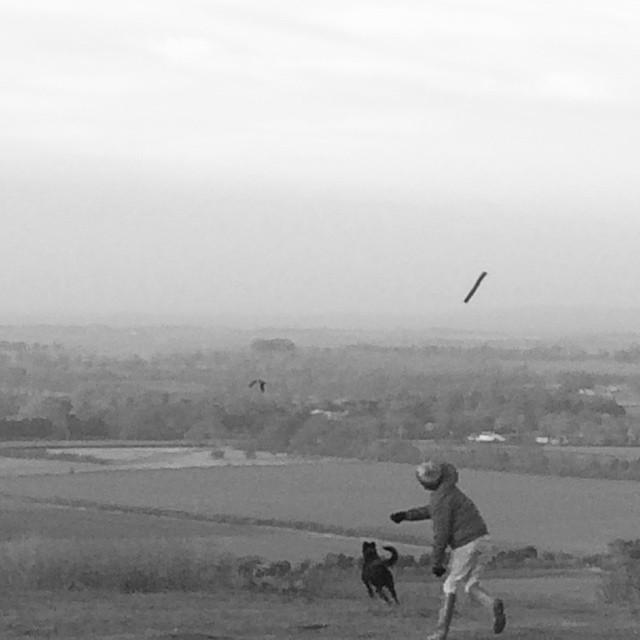 Last walk of the year with my Godson… ❤️ @laurabaileylondon