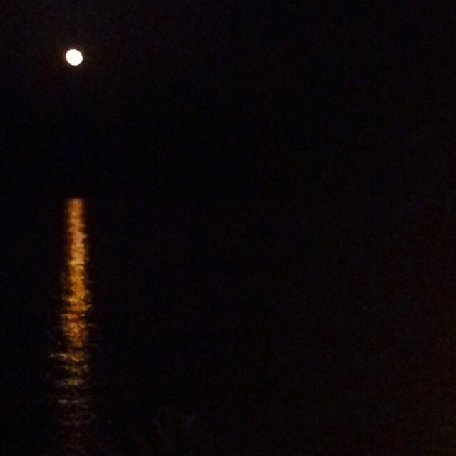 April 5, 2015 (8:21 pm)