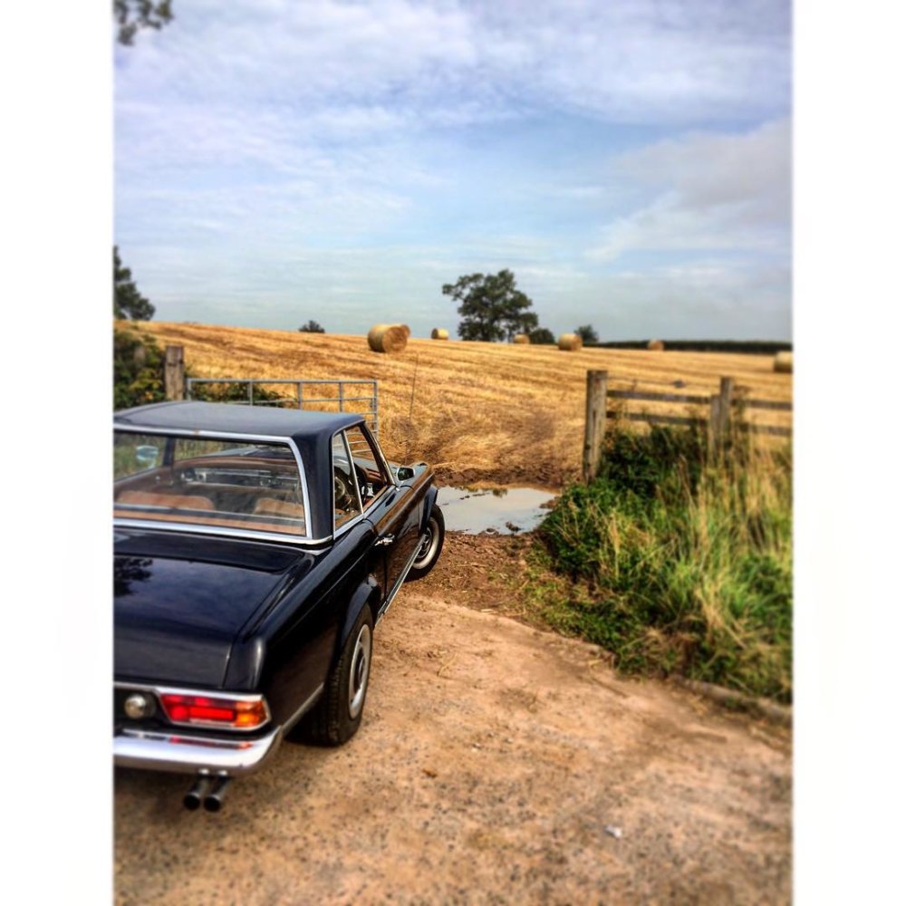 Indian Summer in Scotland❤️