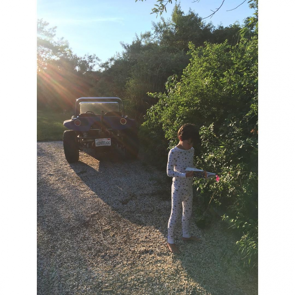 Finn looking for bugs with his bug bible at hand ❤️