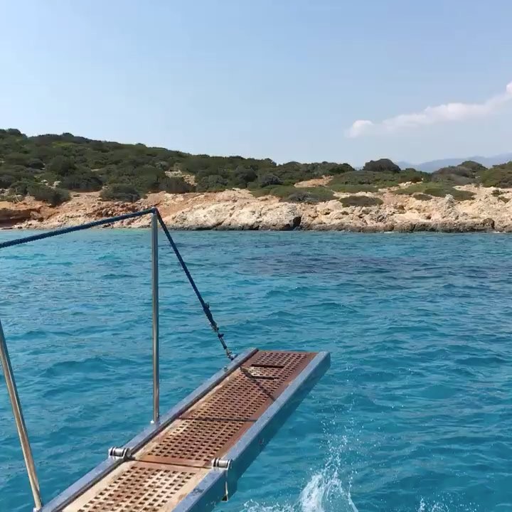 August 7, 2017 (8:25 am)