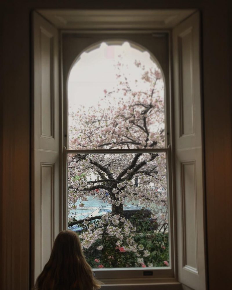 @ the window ️ ️