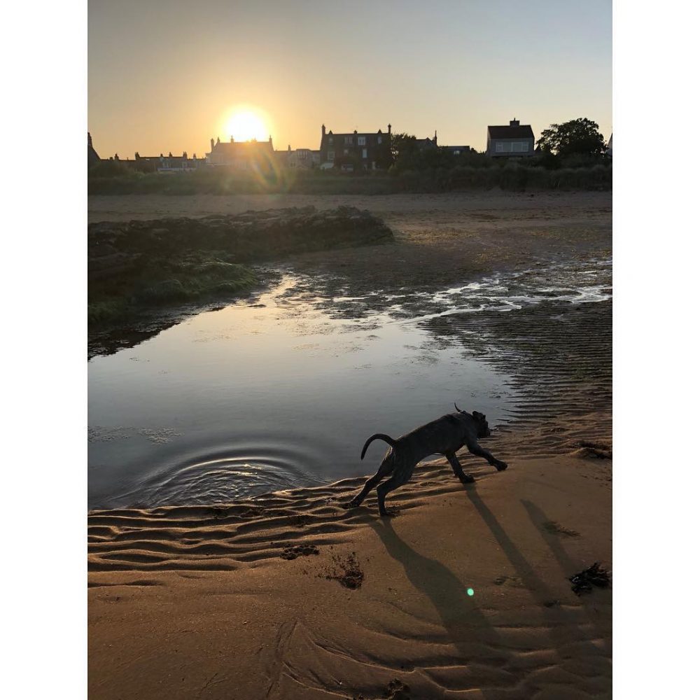 Not been on this beach for almost 20yrs… happy childhood memories ????????️ #family #nofilter